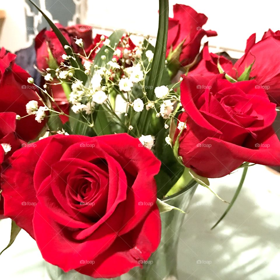  Close-Up Rose Bouquet