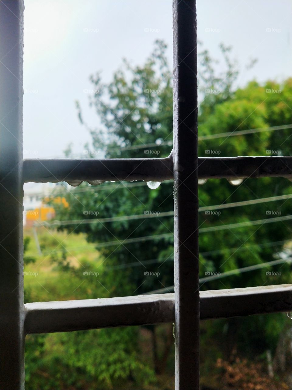 Rainfall and this window view are perfect combination for my holiday mood.🤩⛈️