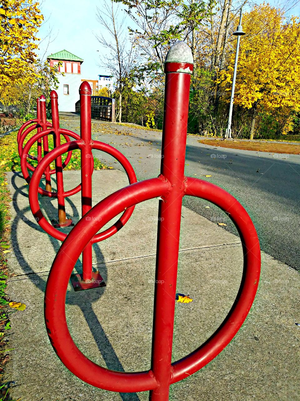 Bike racks at the park