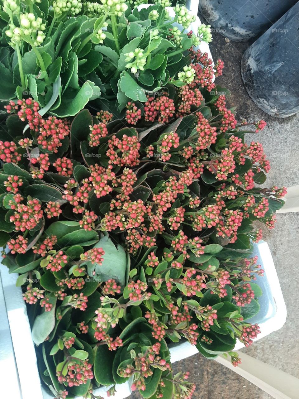 Please make me happy, I am poor, I need your help with support