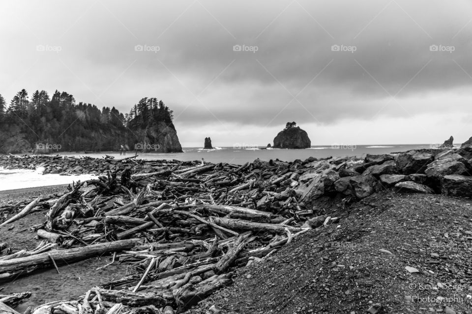 La Push 12