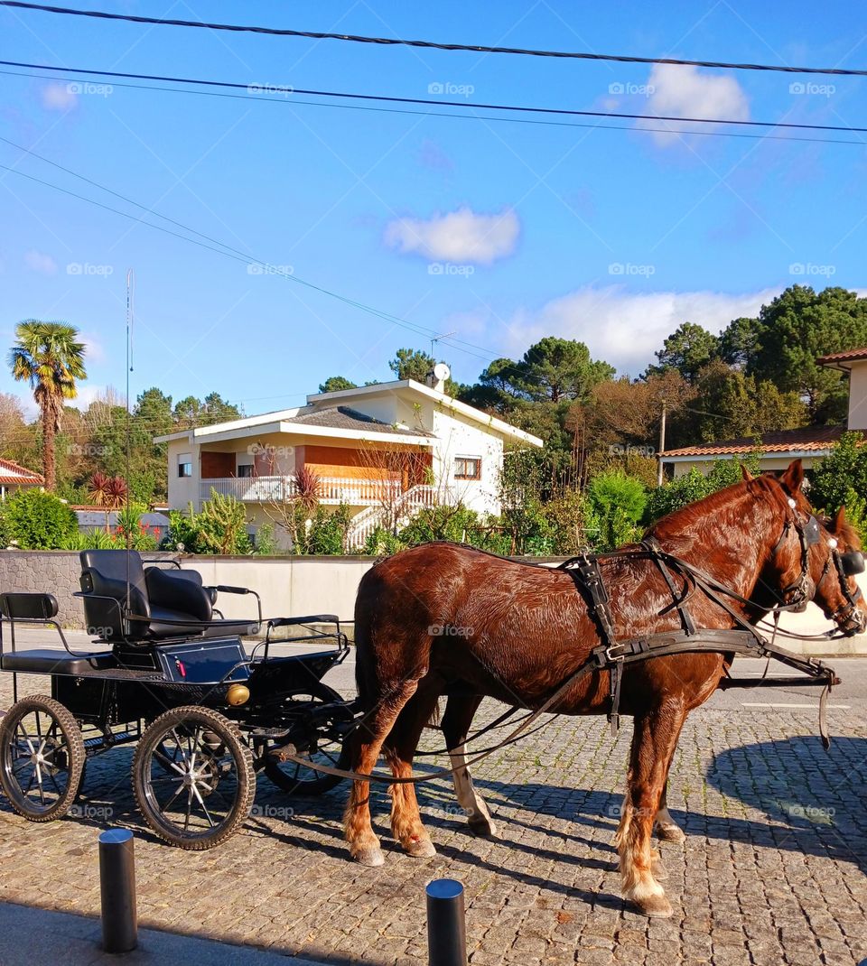 Uma viagem no tempo sobre rodas.