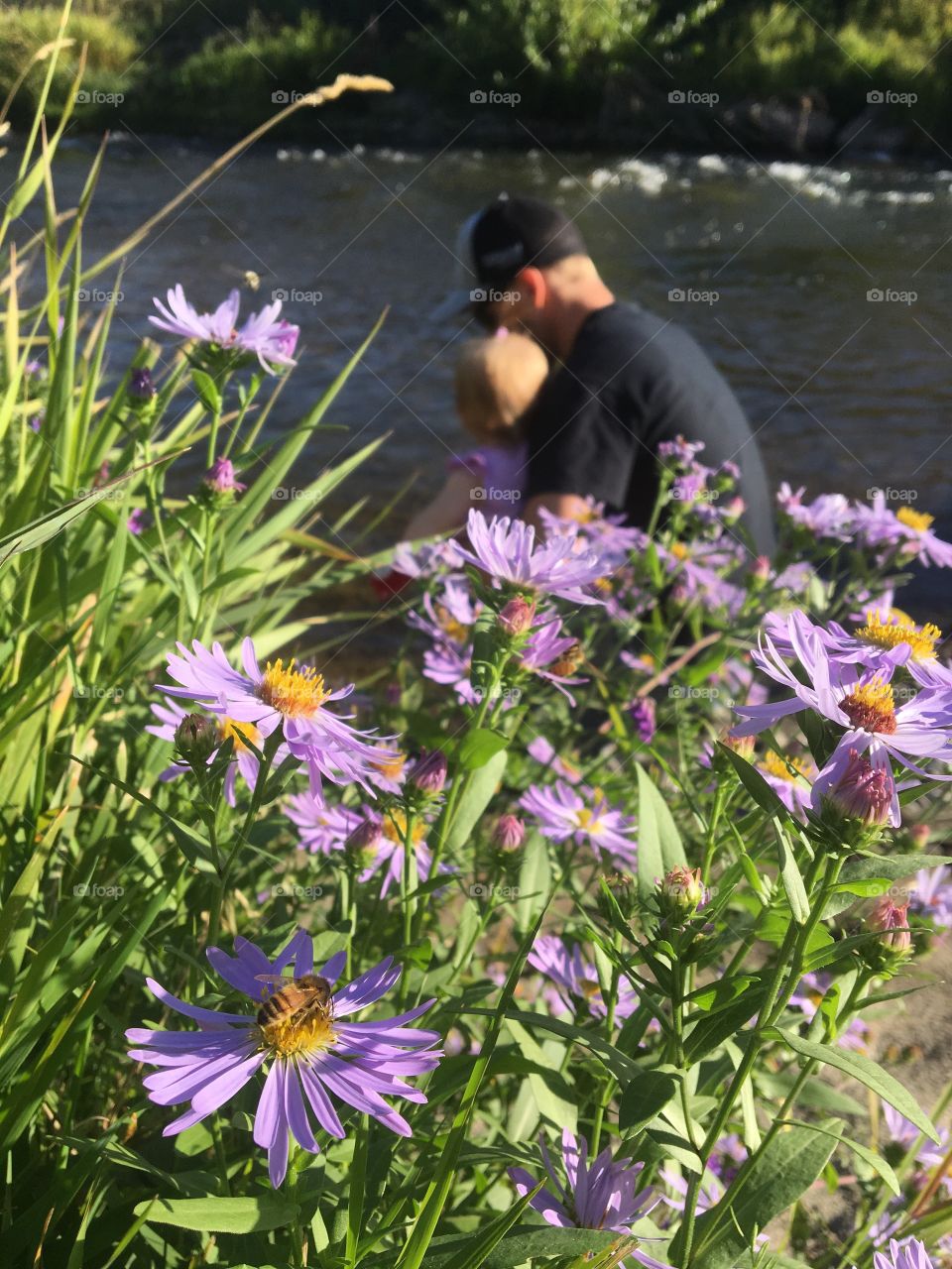 Daddy and baby by the river