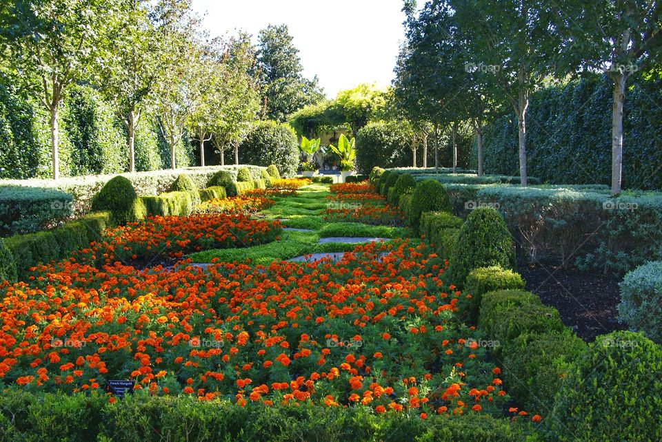 Formal garden