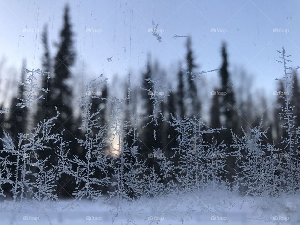 Frost on a window 