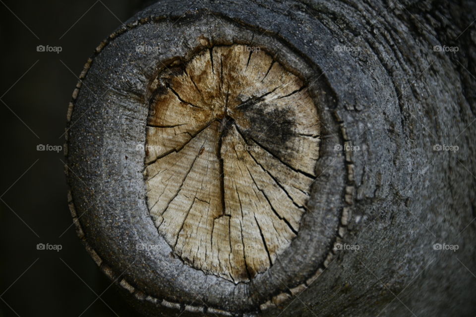 De otro planeta 
From another planet