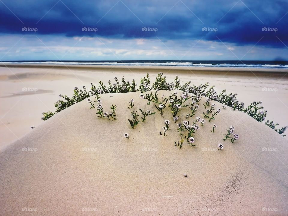 Silence on the beach