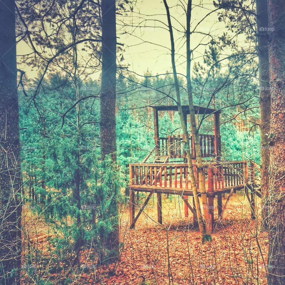 Park observation tower