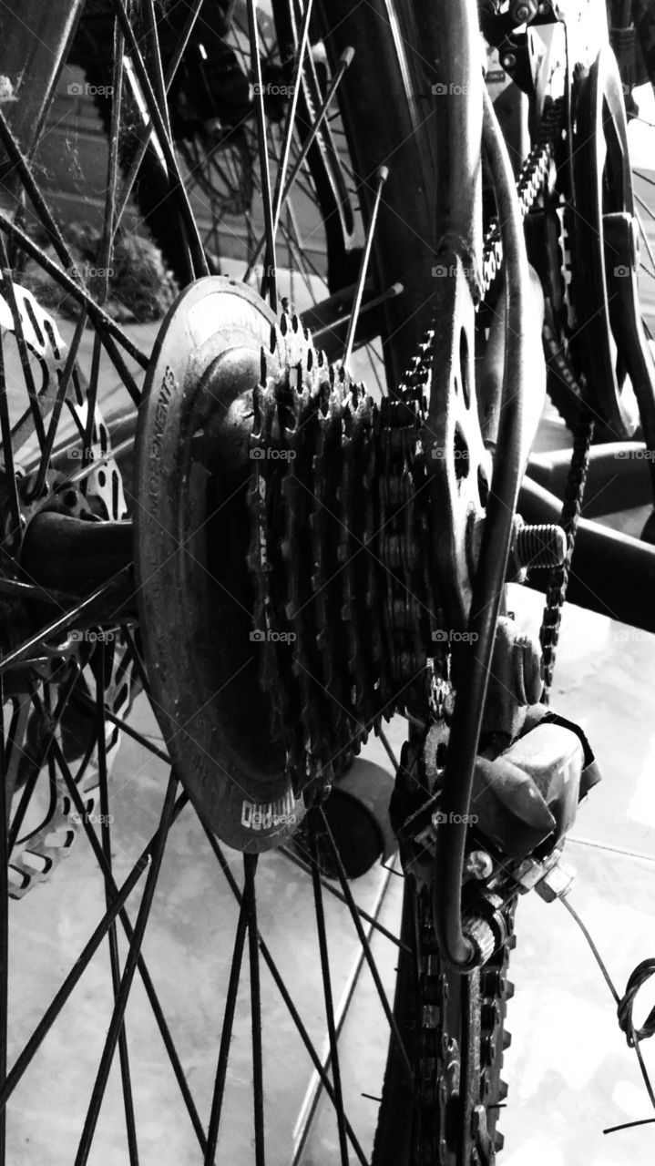 Bicycles are one of the means of exercise which is very good for health.