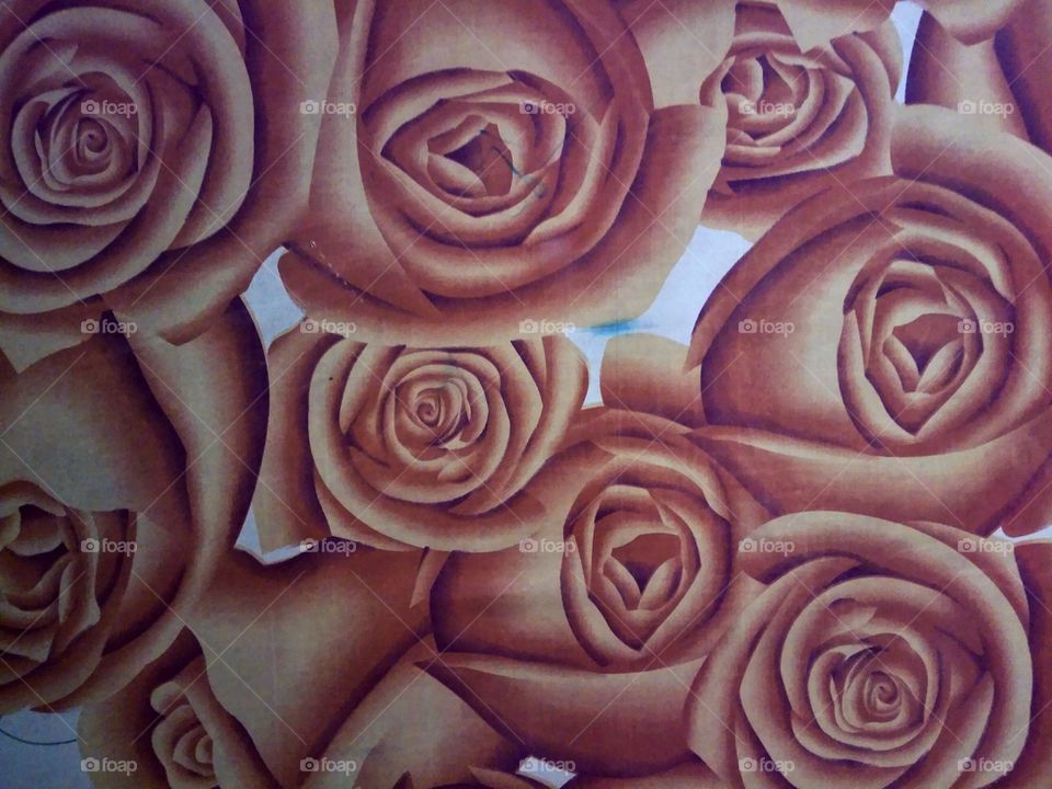Beautiful rose painting