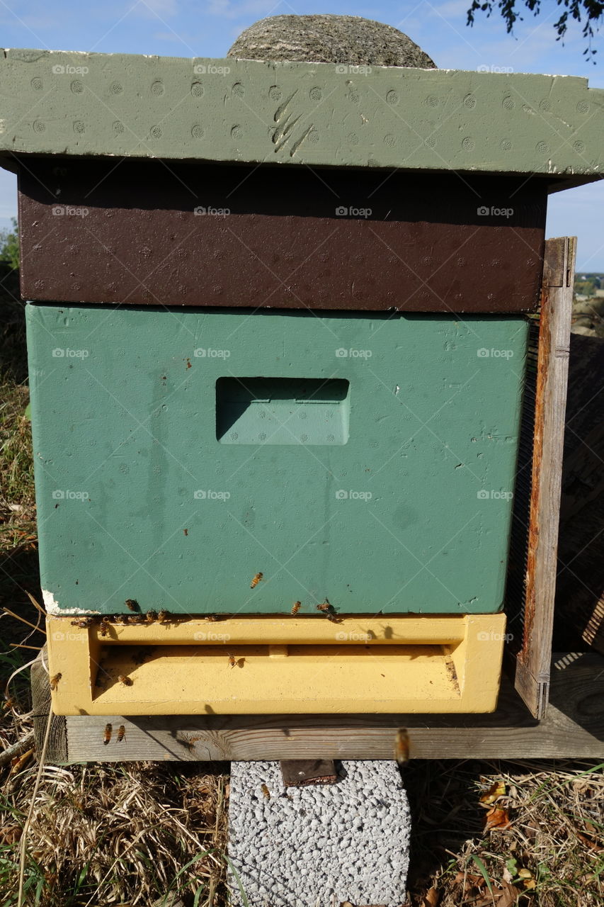 These lovely beehives can be found in a small place called Vargön ( Wolfisland). The need were very active but I managed to get some photos without getting stung.