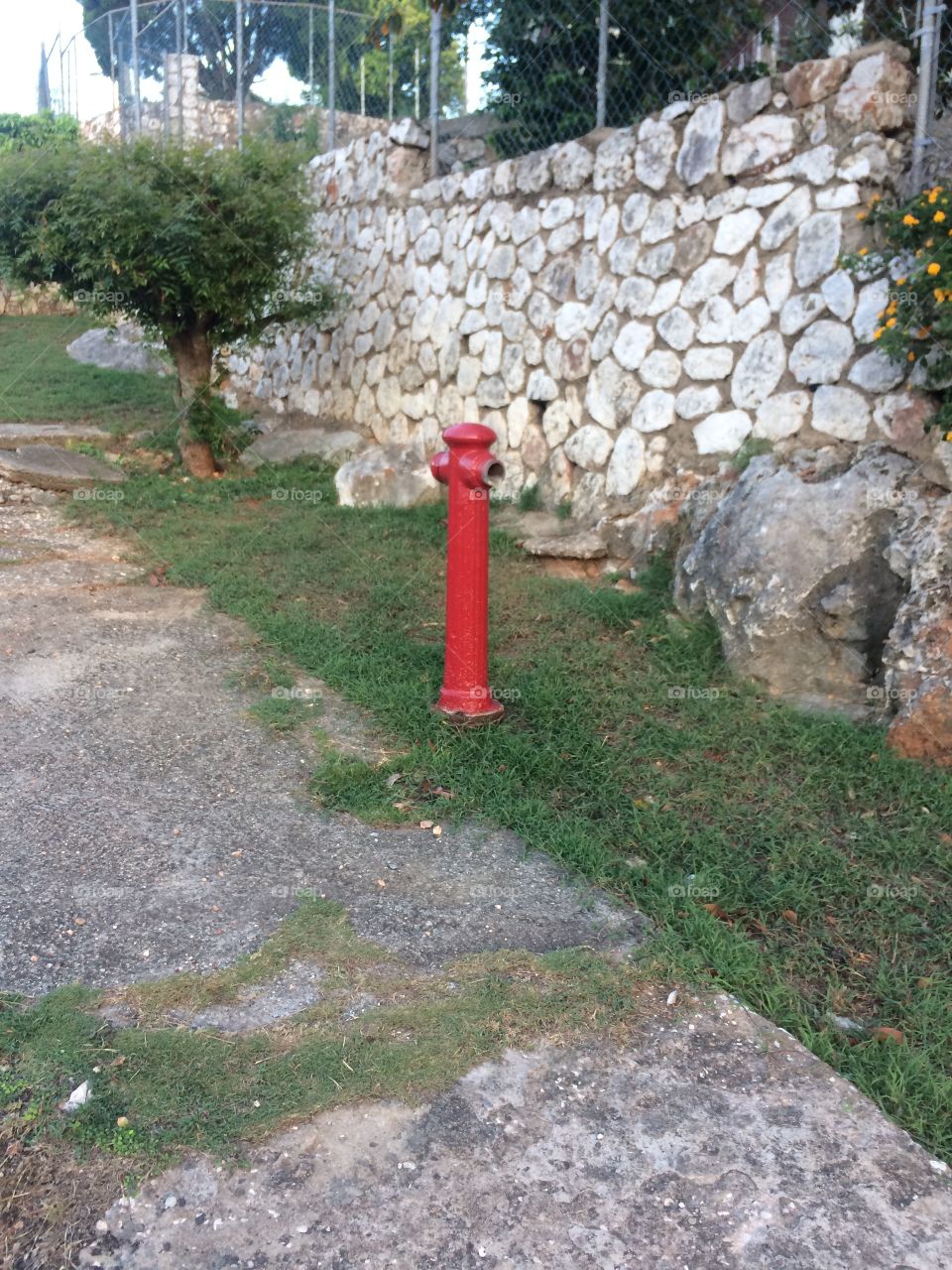 Fire Hydrant 