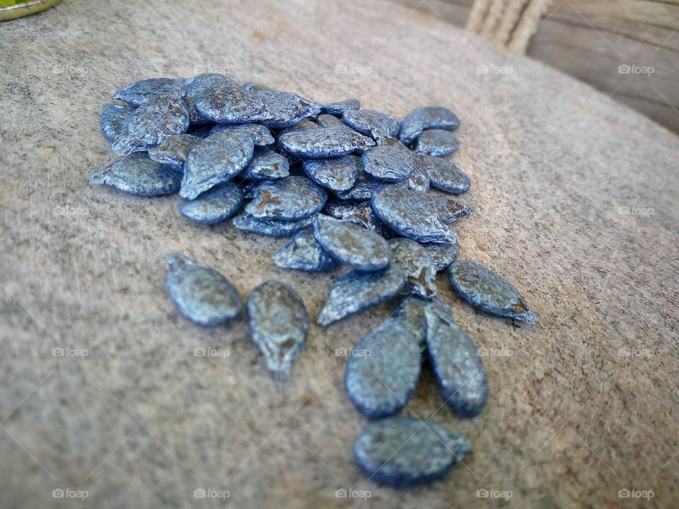 beautiful gourd plant seeds in my farm