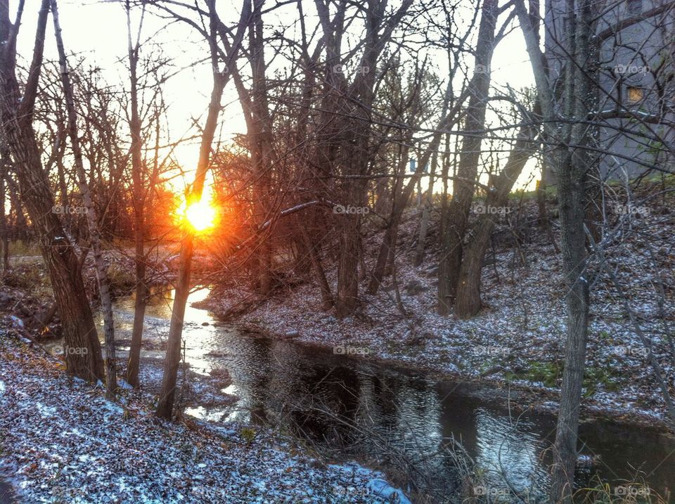 Early in the morning 