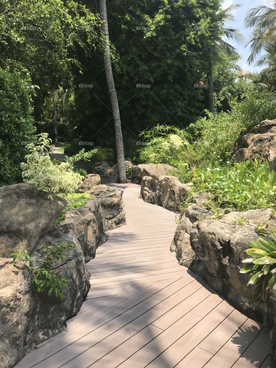 take a walk around the garden , a small walkway is wooden paved outdoors, 2 sides with rocks , surrounded by coconut trees and many other trees.  Behind is a very large and beautiful swimming pool