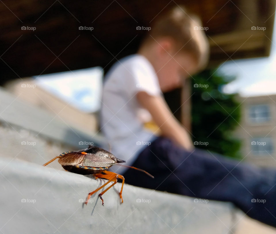 little beetle looks at a sitting boy