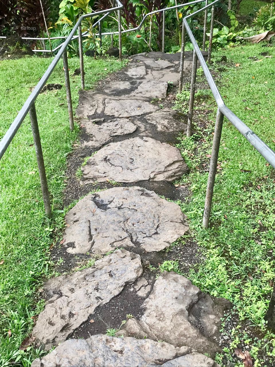 Stone paved path