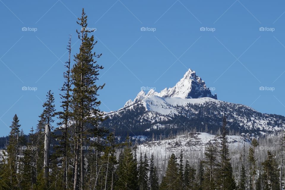 The jagged snow covered peak of Mt. Washington in Oregon’s forests and Cascade Mountain Range against a clear blue sky on a sunny spring day. 