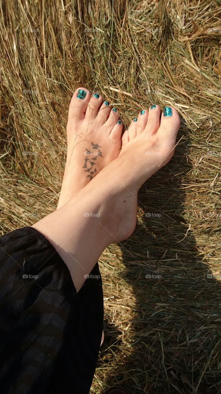 feet and hay