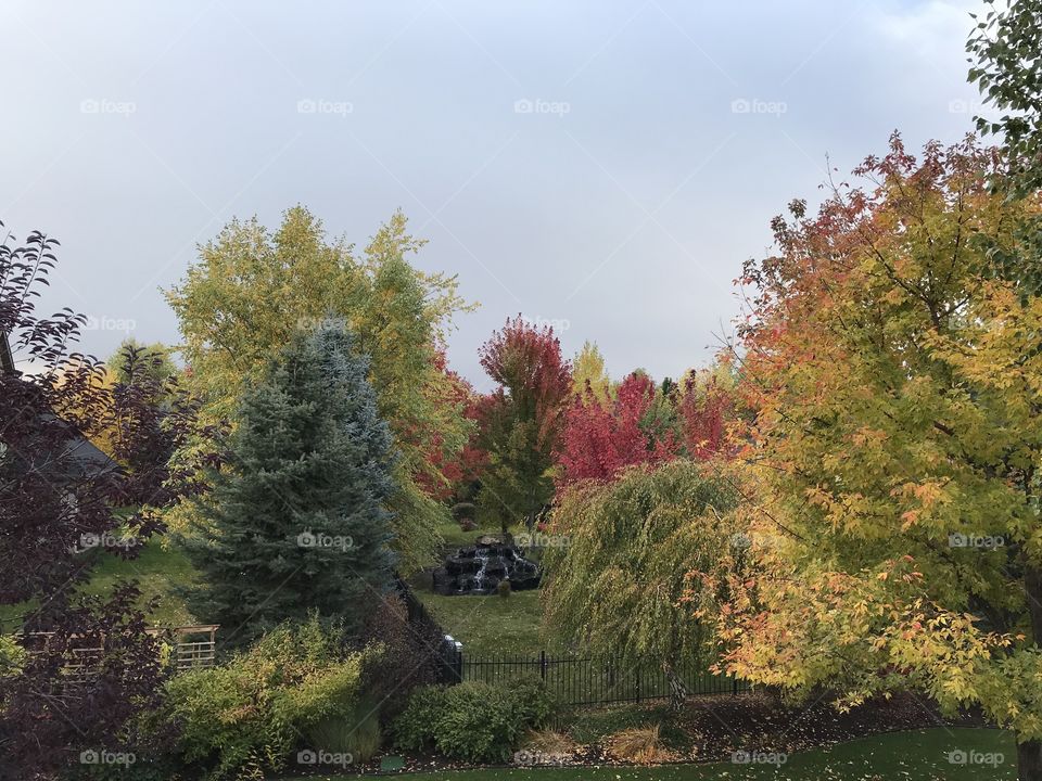 Fall in Idaho 