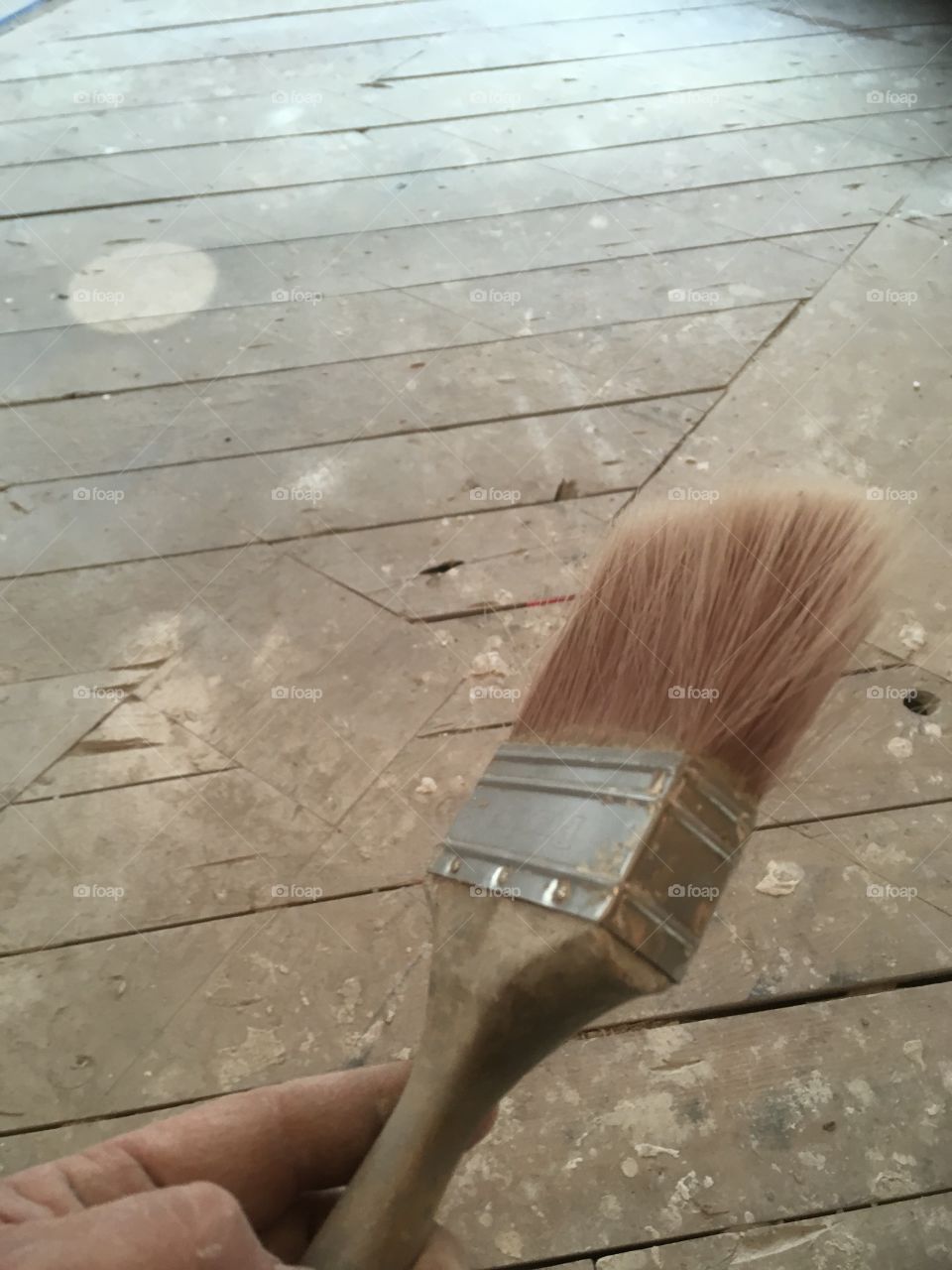 My old paint brush /dust brush 