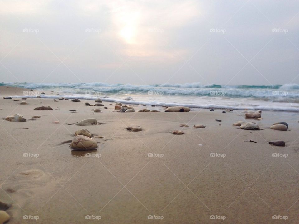 Scenic view of beach