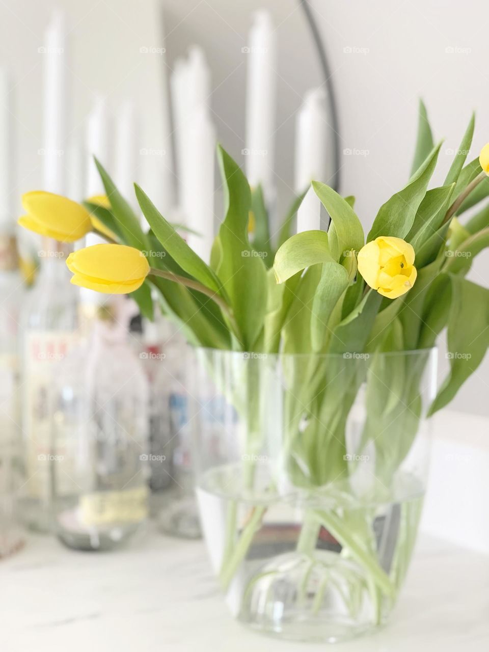 Yellow tulips 