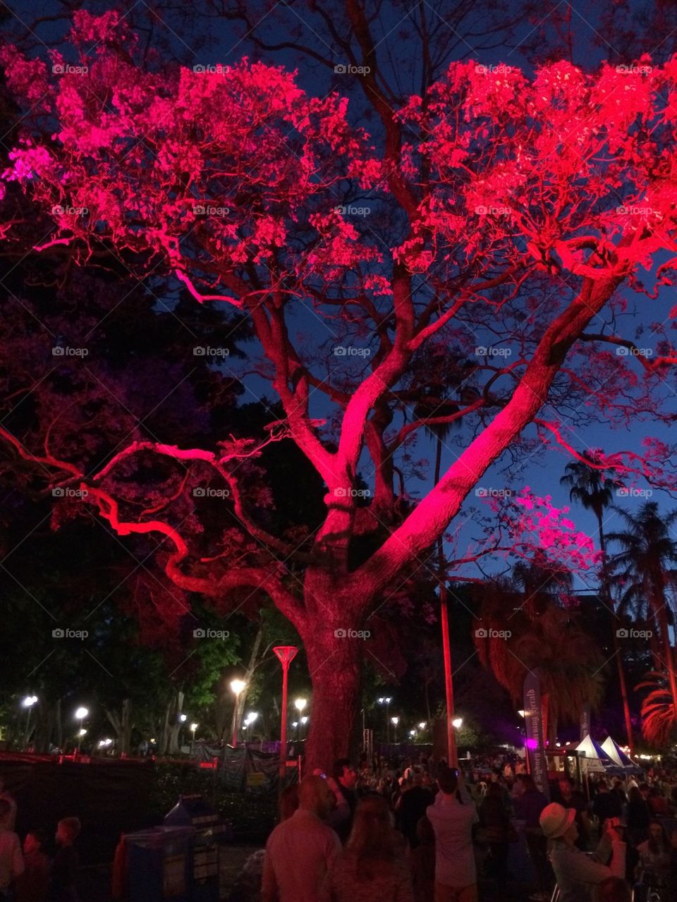 Night light tree