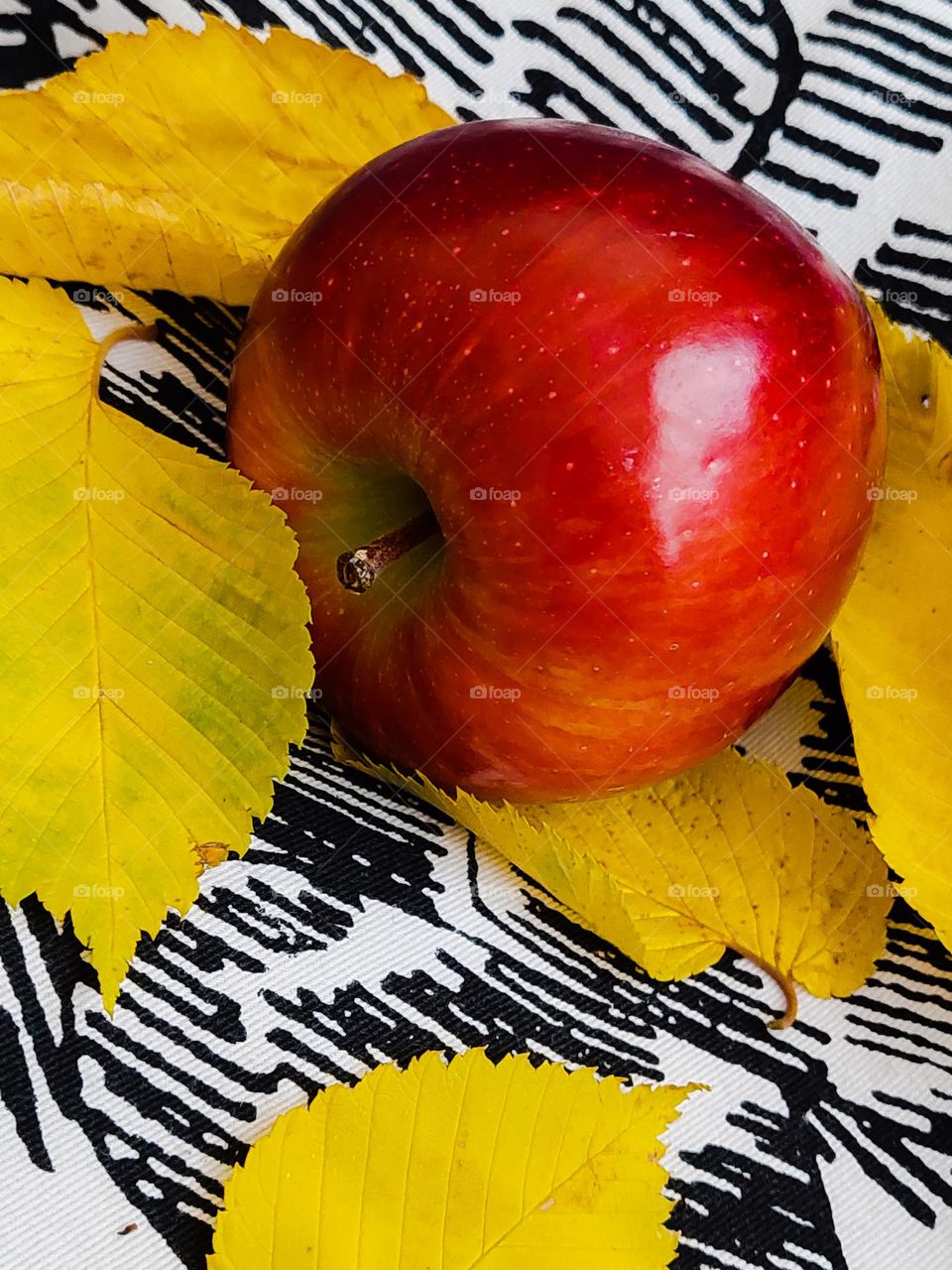 Close up of organic red apple and yellow fallen leaves