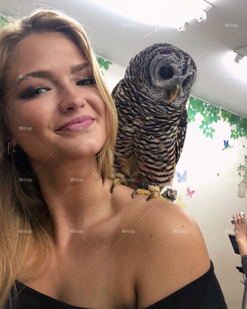At an owl cafe in Tokyo, Japan. They are such beautiful creatures!