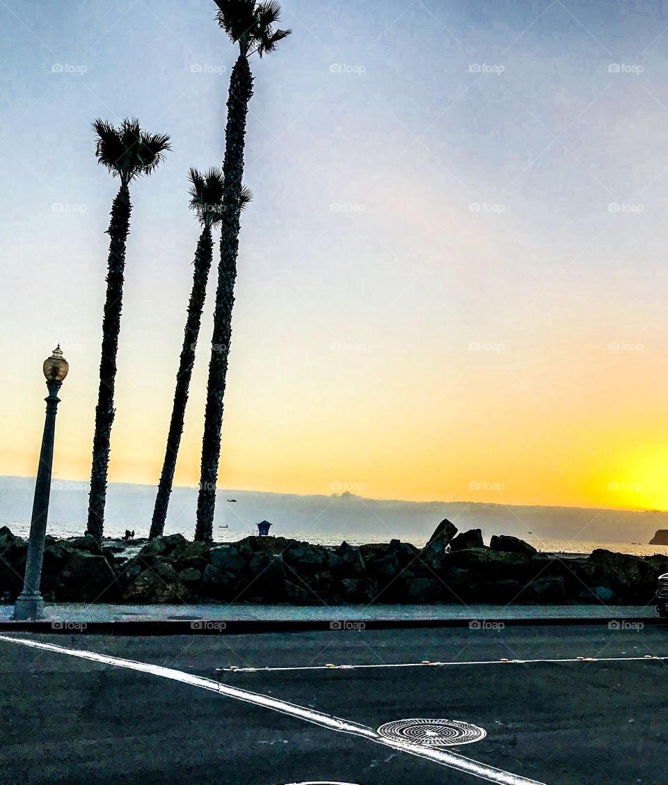Street during sunset on Coronado Island in San Diego, California. 