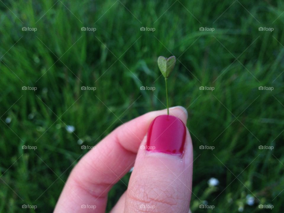 Hand with plant heart 