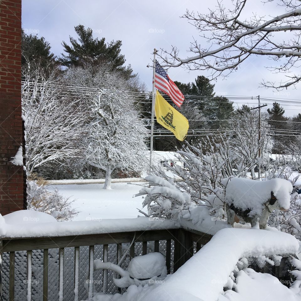 American Flag & Don't Tread On Me Flag

Our flag pole and flags weathered the storm just fine. They may be getting a little frayed but will be replaced and respectfully taken care of. 🇺🇸The day was freezing & windy all day. The trees kept the beautiful look of the snow storm we had just gone through!🌬❄️It was a pretty day for pictures, sky was blue.
