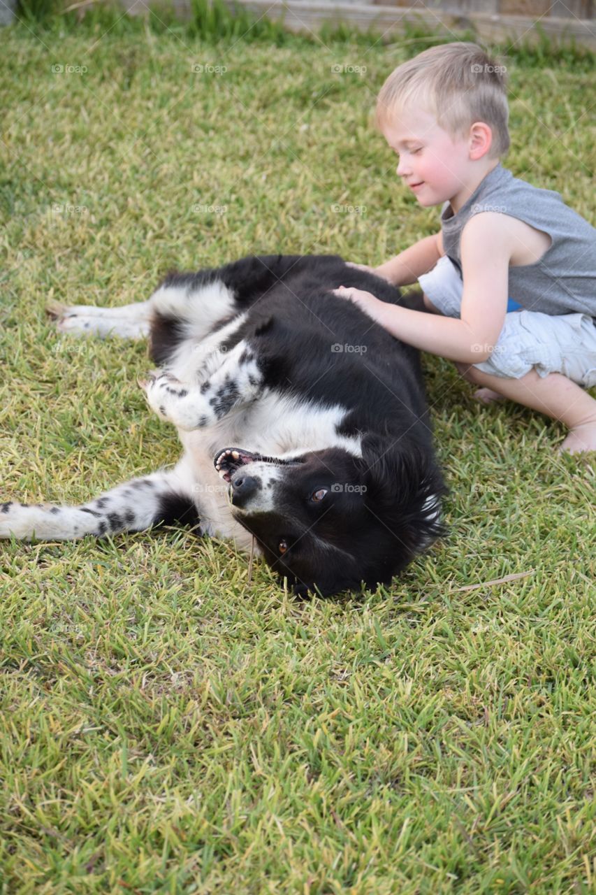 Boy petting his dog. Toddler playing with his pet