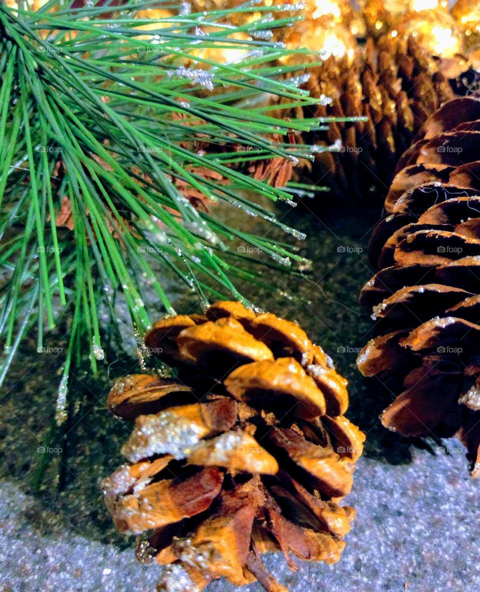 pinecones and tree needles