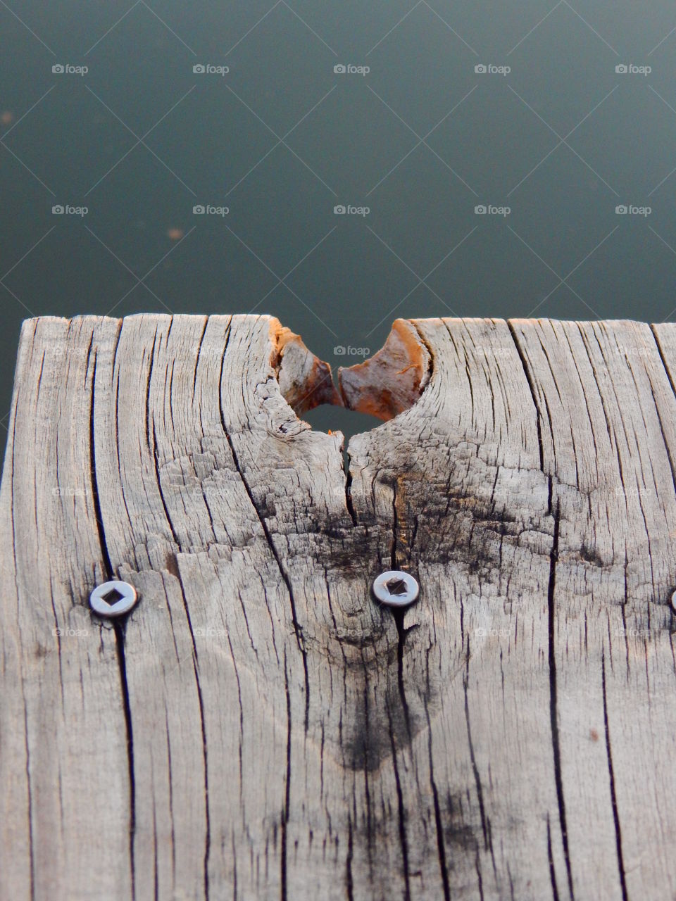 I love the details in the old weathered wood of our grandparents dock.