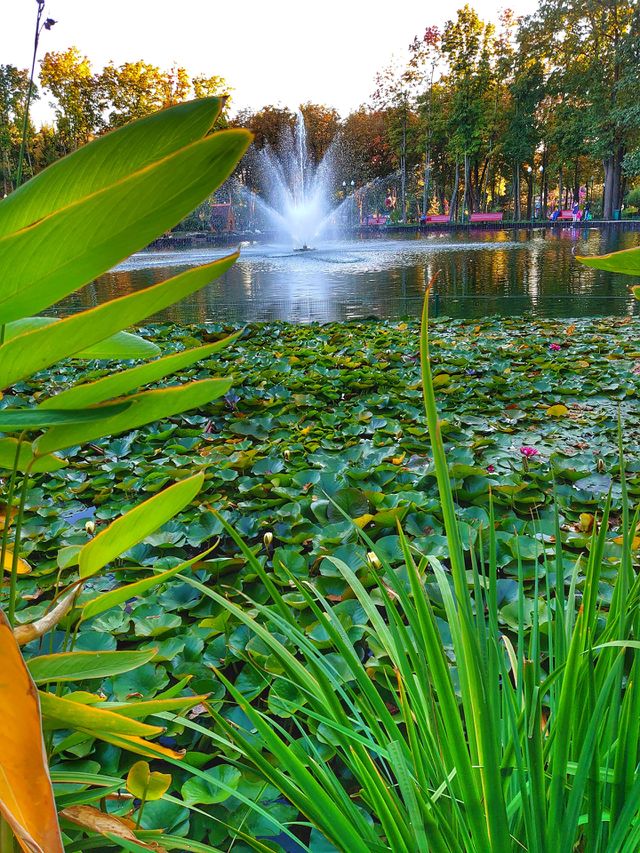 Lake, autumn moods