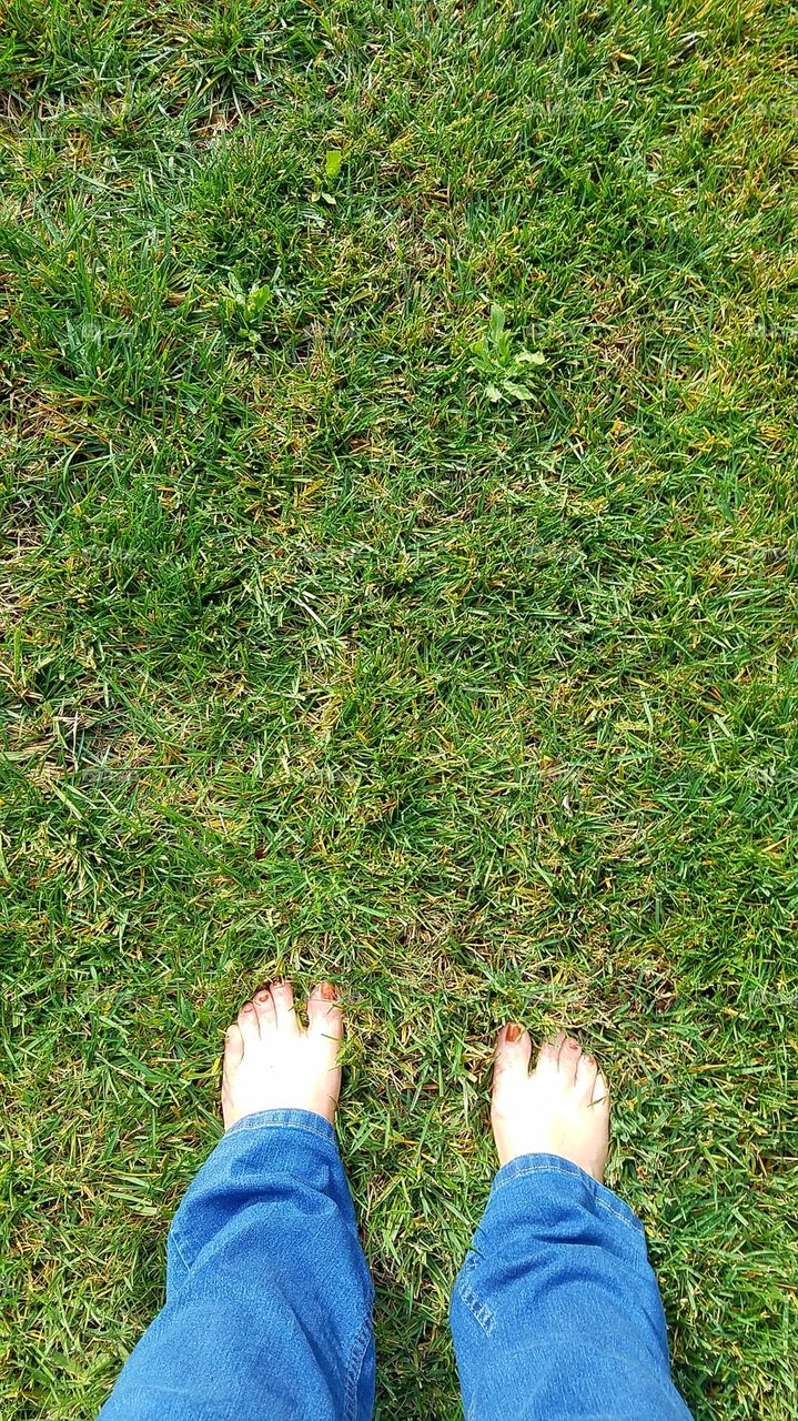 Barefoot in the grass in December