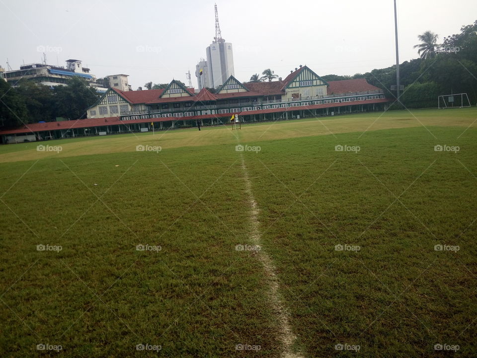 Cricket and football field