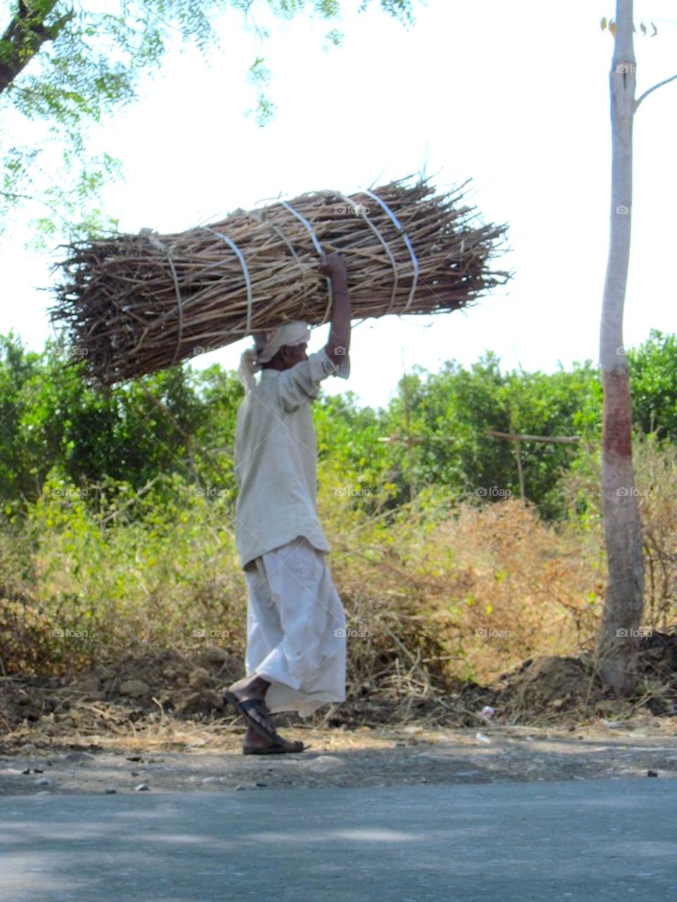 Local India