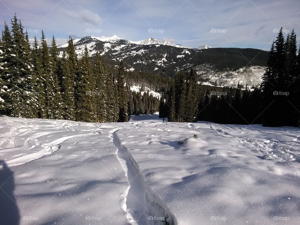 Freshies. Beautiful morning on one of Colorado's great mountains getting fresh tracks after a nice snowfall the night before.