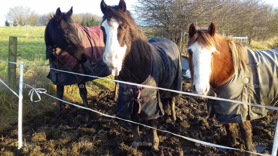 there's always one....