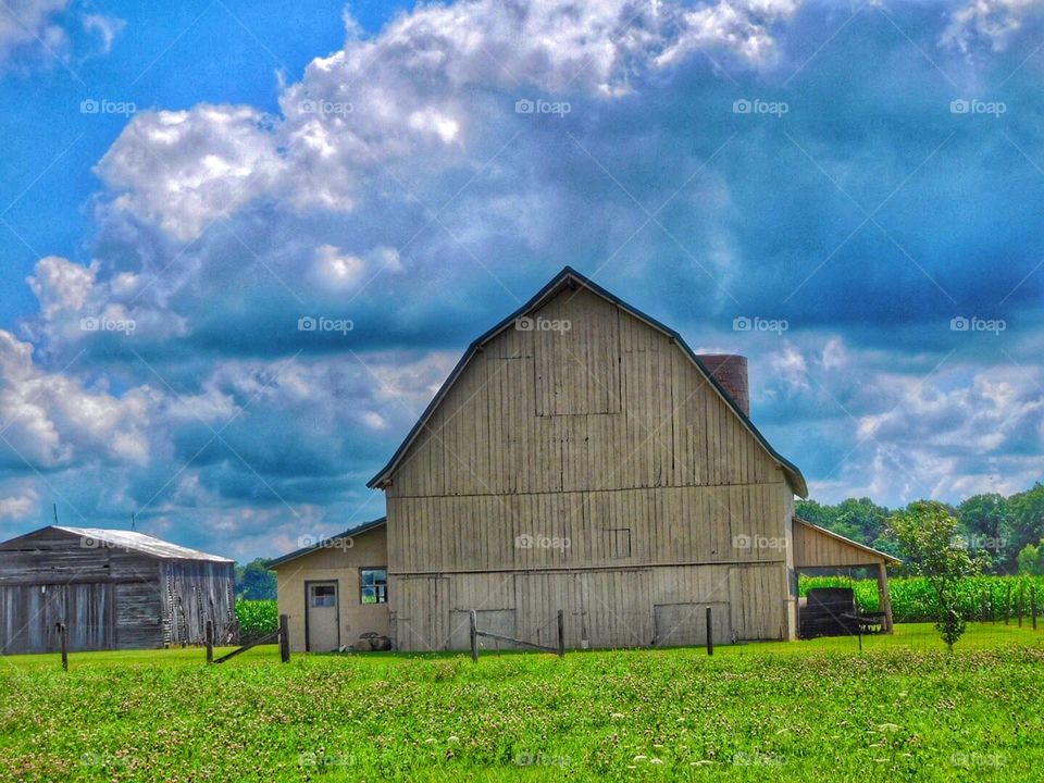 Summer barn