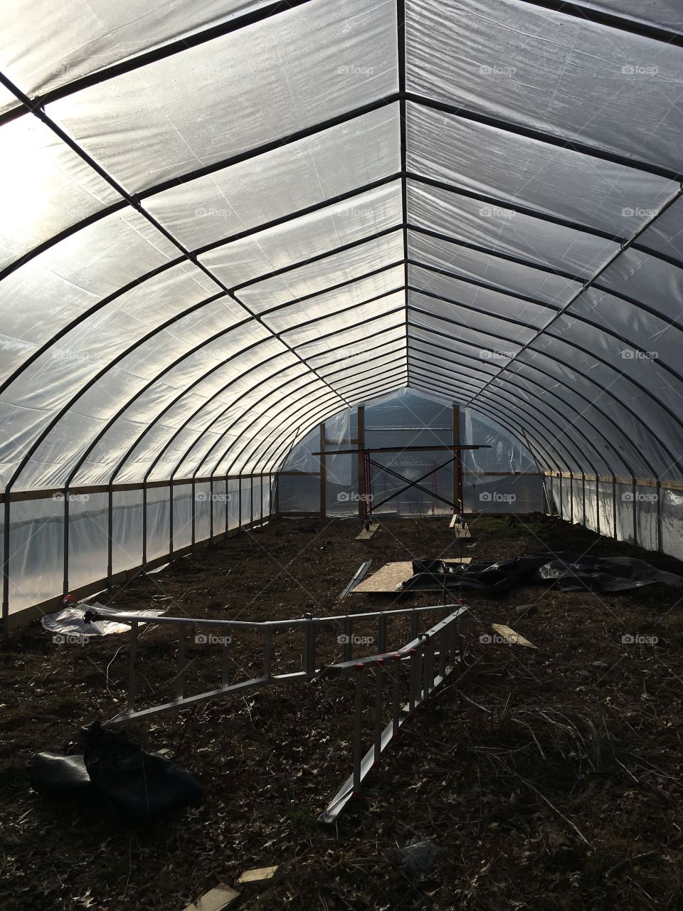 north view inside green house