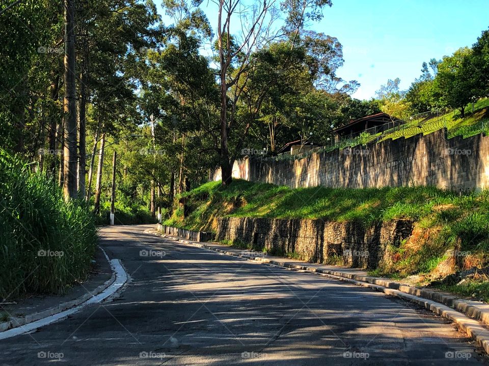A road though nature. Trees and grass growing around the path made by man.
