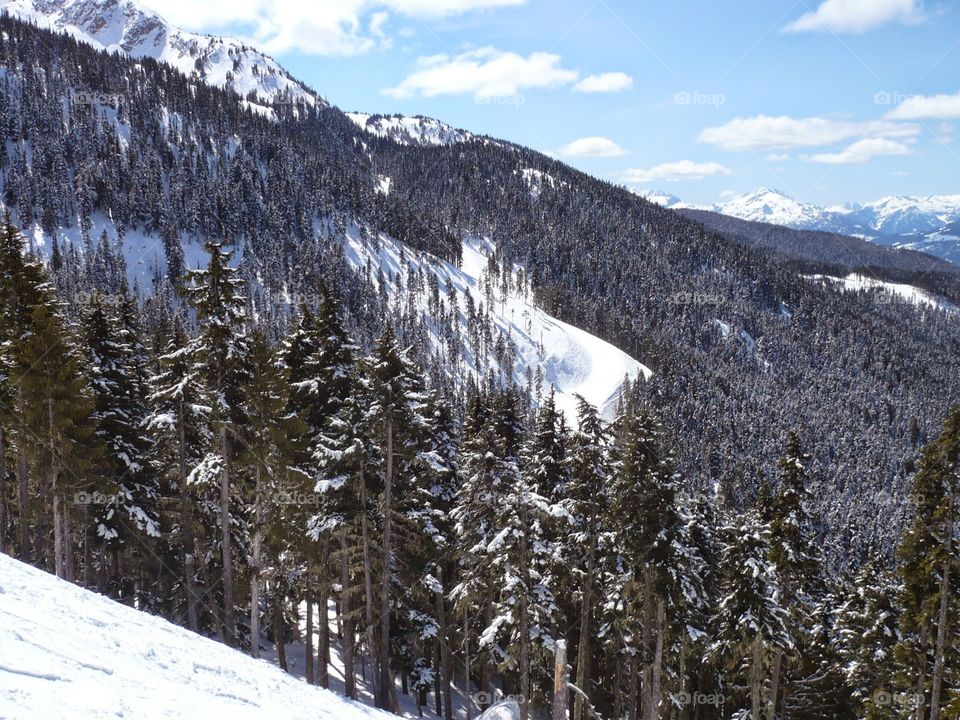 Snow, Winter, Mountain, Wood, Scenic