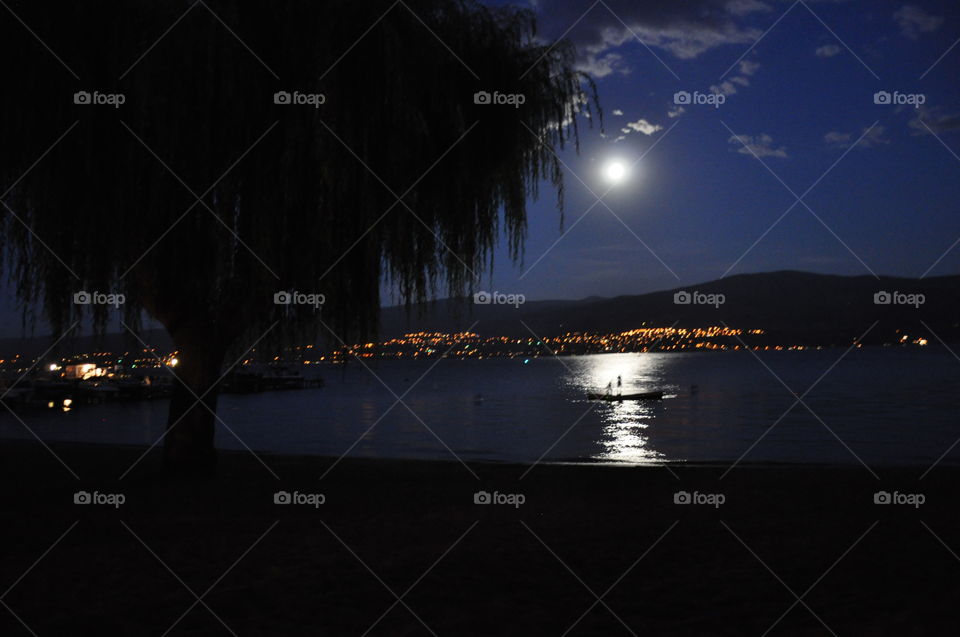 Moonlight over the lake. 