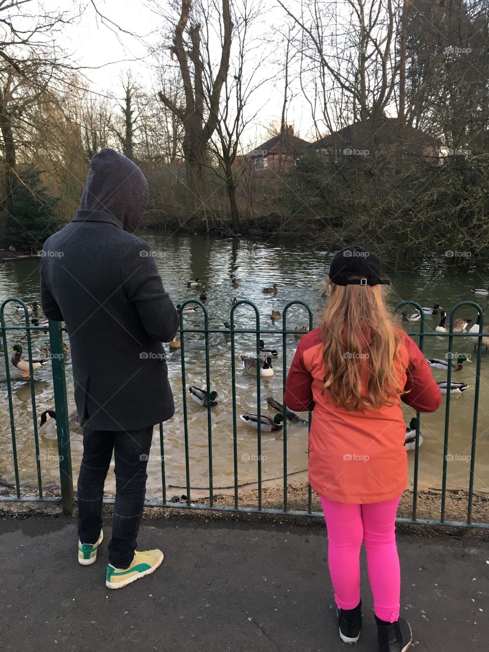 Feeding the ducks