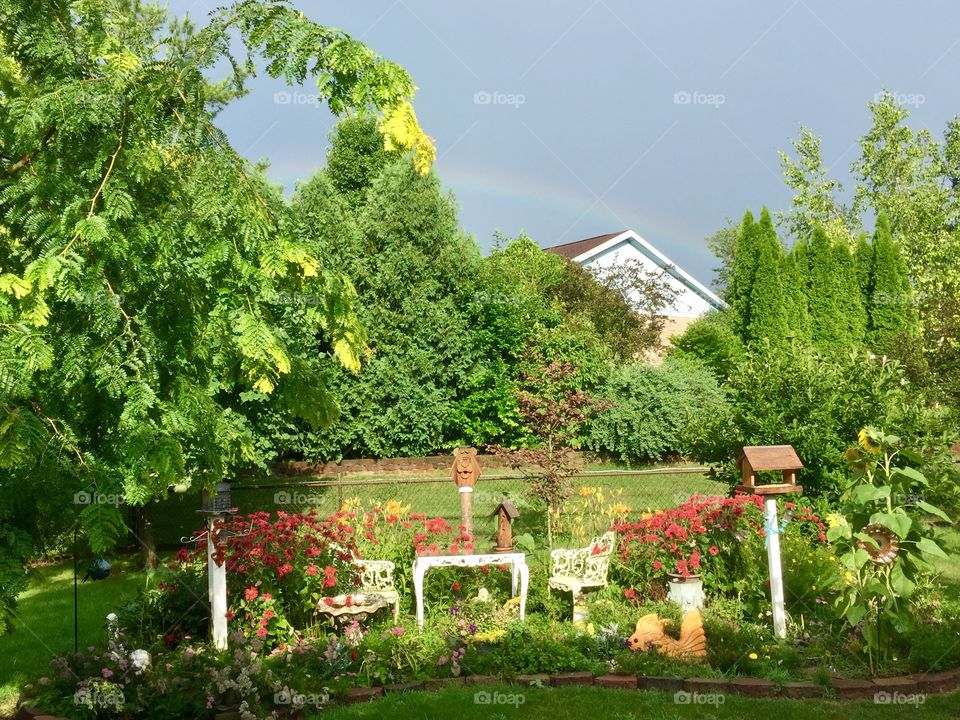 Backyard Splendor