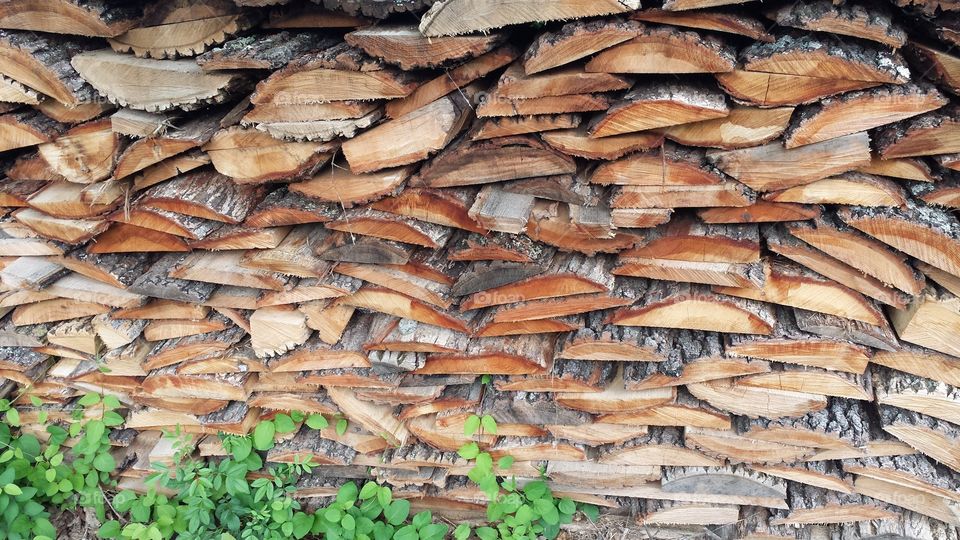 Woodpile. Firewood